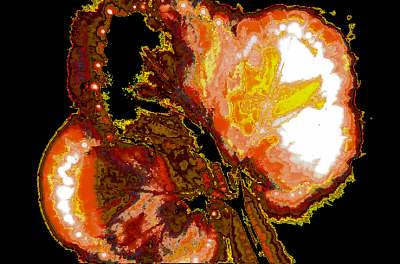 kir21c.jpg (31341 Byte)